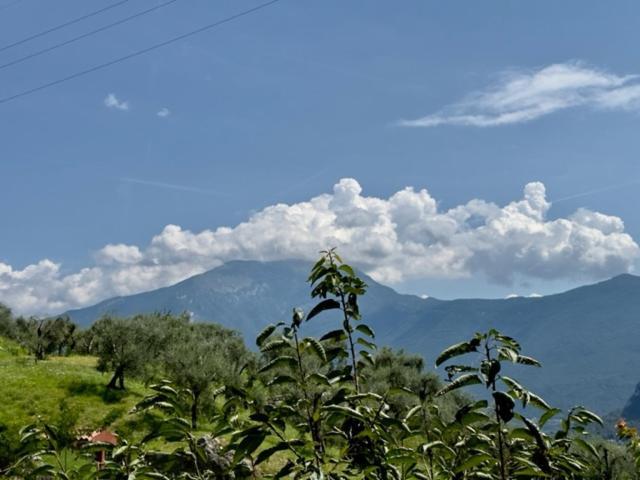 Alloggio Turistico Molu Gavazzo Nuova Exterior foto